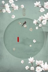 深入了解 Pr九天狐